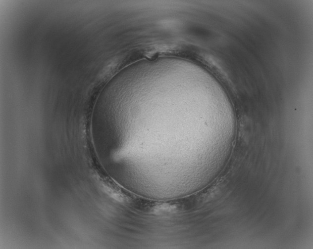 X0000067850257200604201315