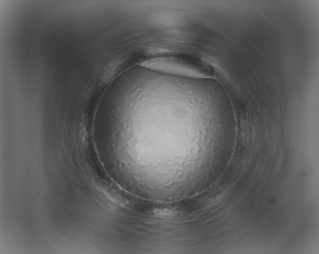 X0000067850259200604201315