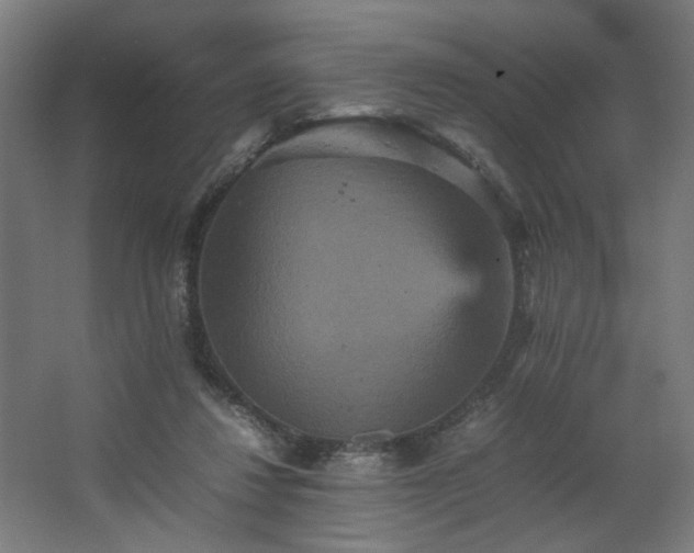 X0000067850260200604201315