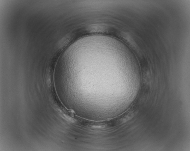 X0000067850261200604201315