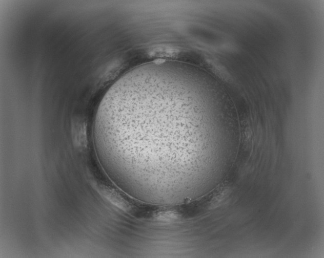 X0000067850262200604201315