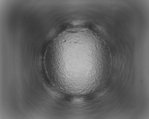 X0000067850263200604201315