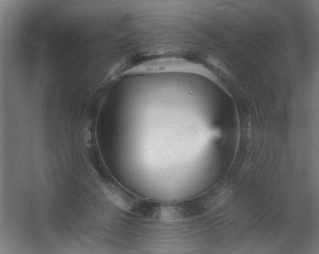 X0000067850264200604201315