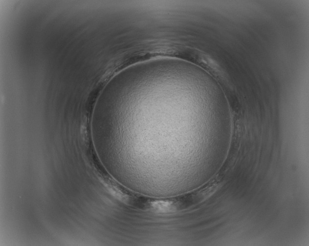 X0000067850265200604201315