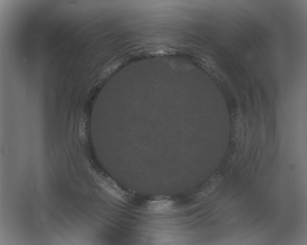 X0000067850266200604201315