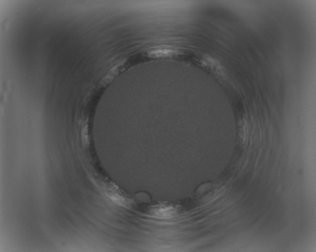 X0000067850267200604201315