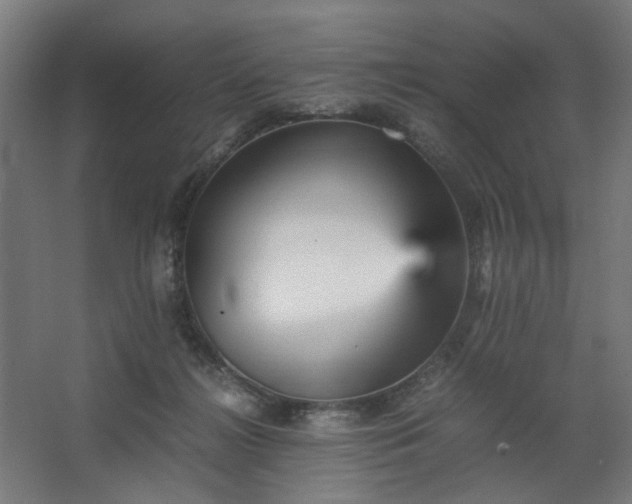 X0000067850268200604201315