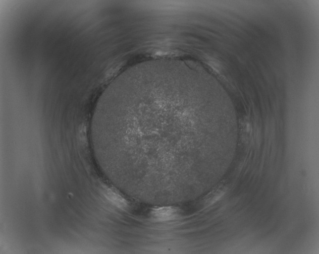 X0000067850269200604201315