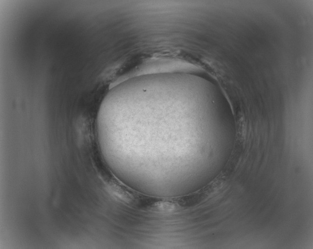 X0000067850272200604201315