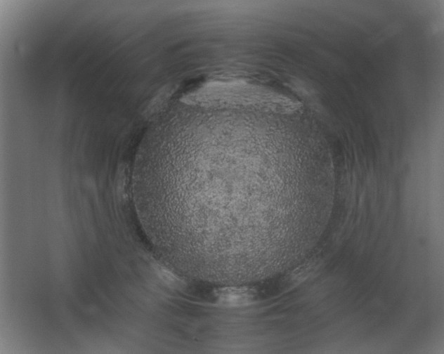 X0000067850273200604201315