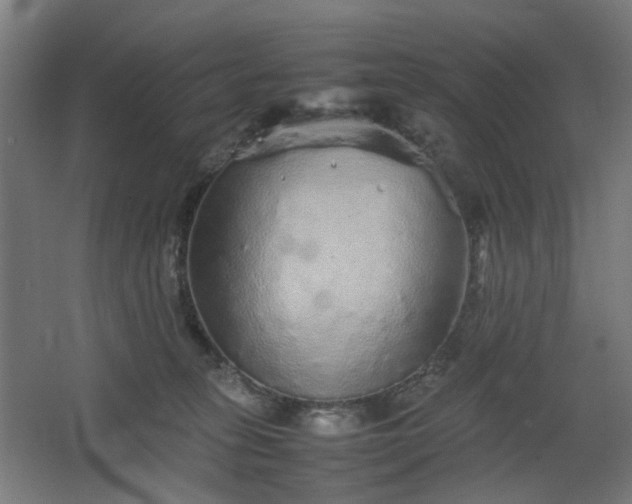 X0000067850275200604201315