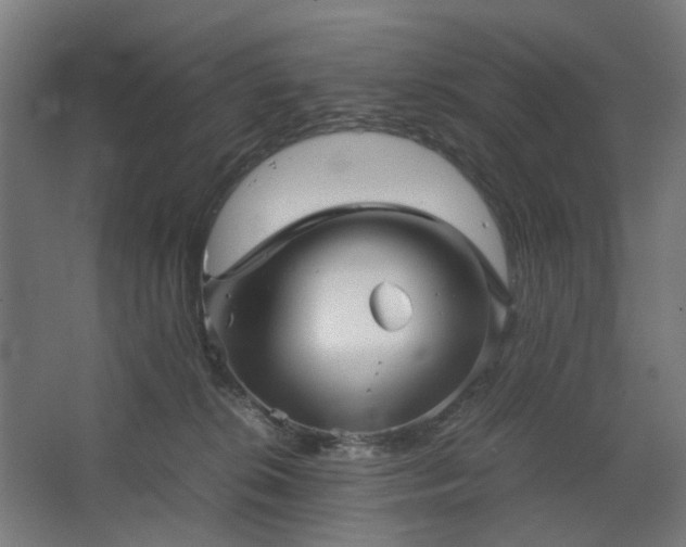 X0000067850276200604201315