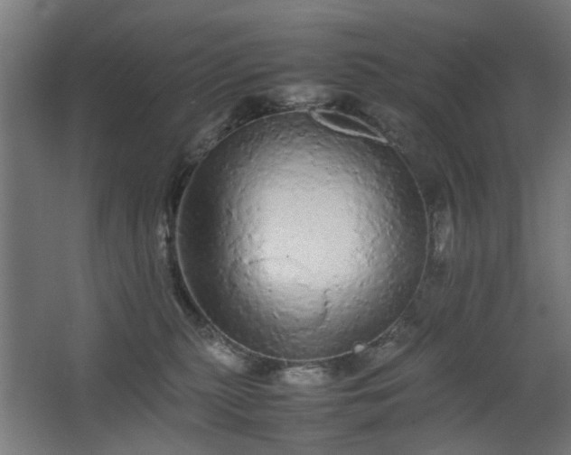 X0000067850279200604201315