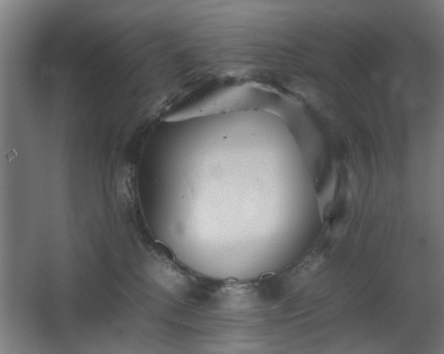 X0000067850280200604201315