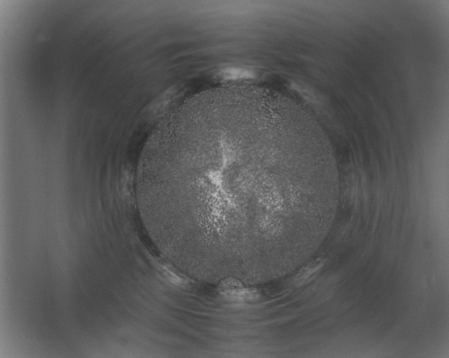 X0000067850281200604201315