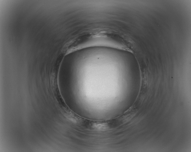 X0000067850283200604201315