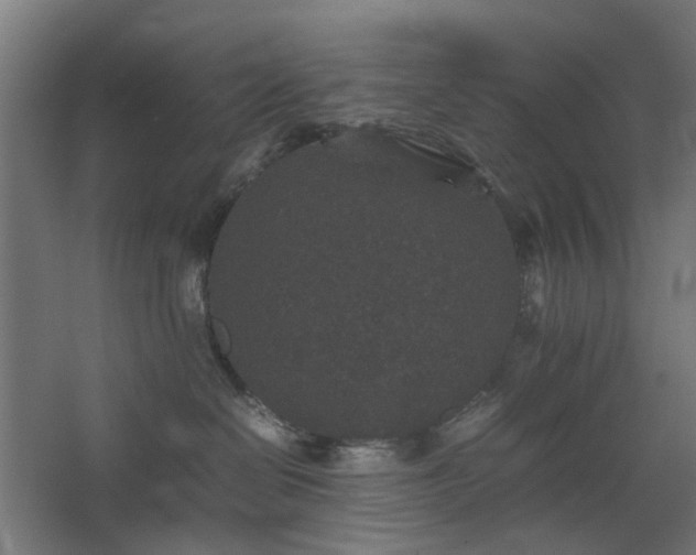 X0000067850286200604201315