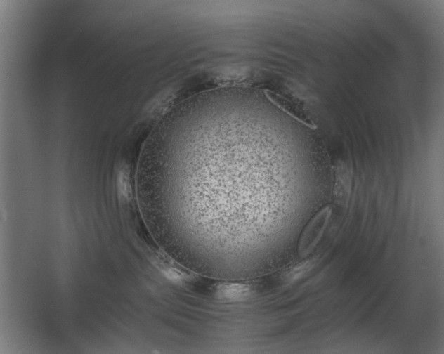 X0000067850287200604201315