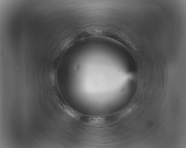 X0000067850288200604201315