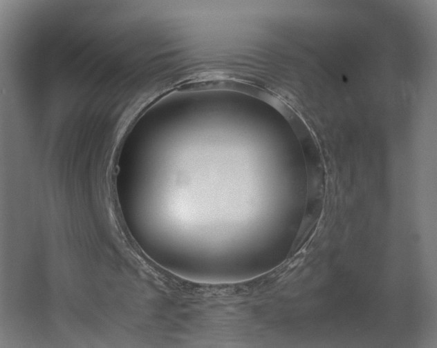 X0000067850289200604201315