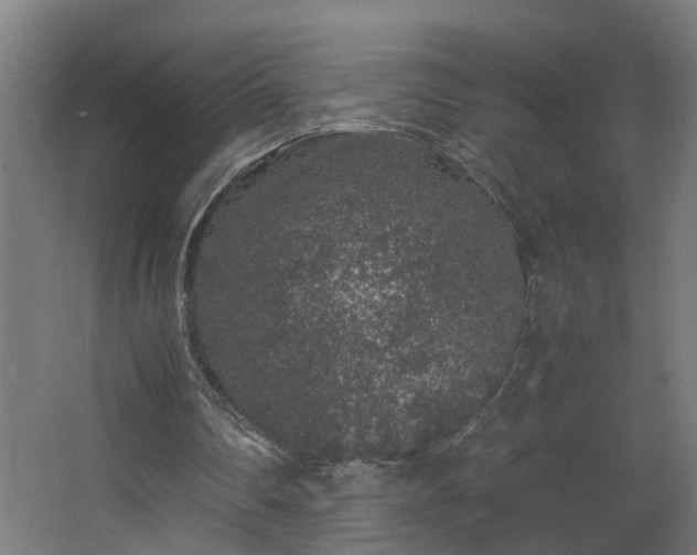 X0000067850290200604201315