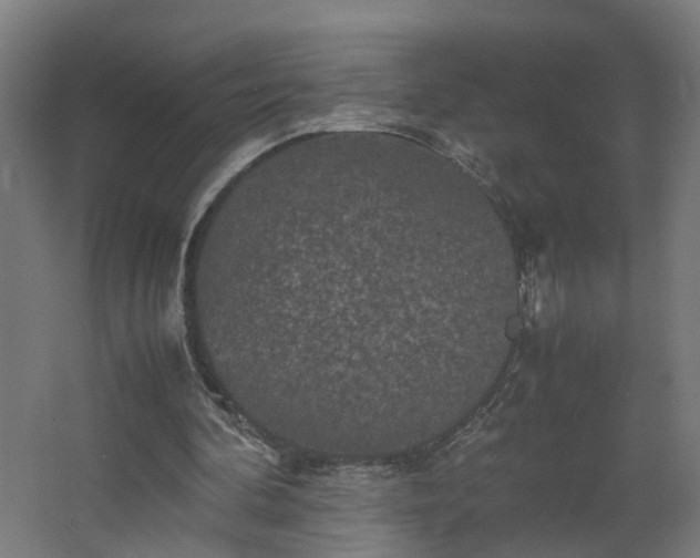 X0000067850292200604201315