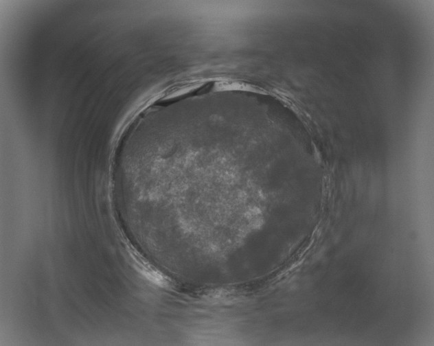 X0000067850293200604201315