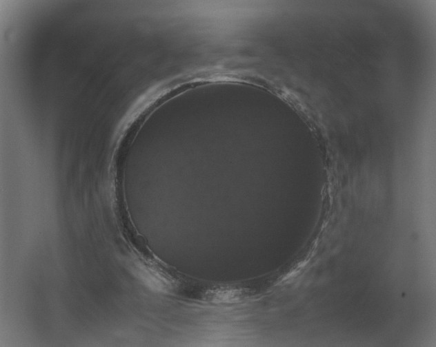 X0000067850295200604201315