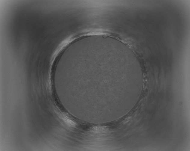 X0000067850296200604201314