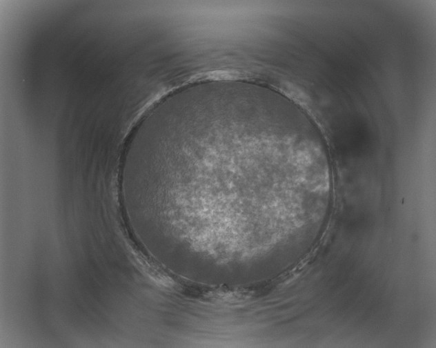 X0000067850297200604201314