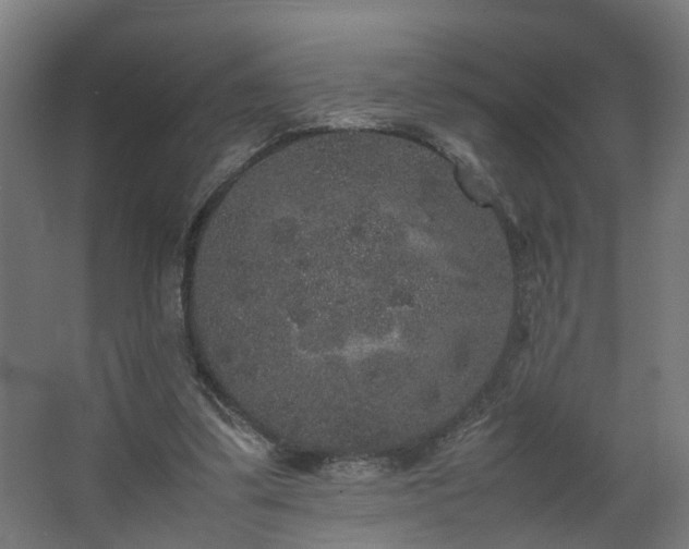 X0000067850299200604201314