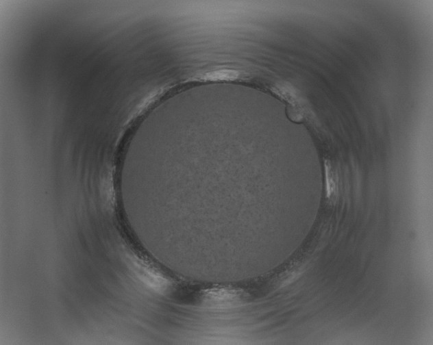 X0000067850300200604201314