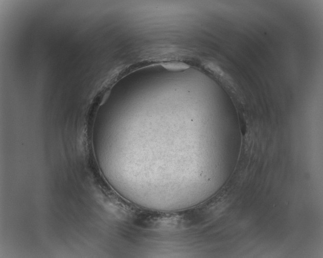 X0000067850306200604201314