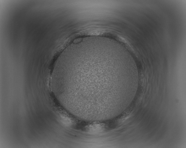 X0000067850307200604201314