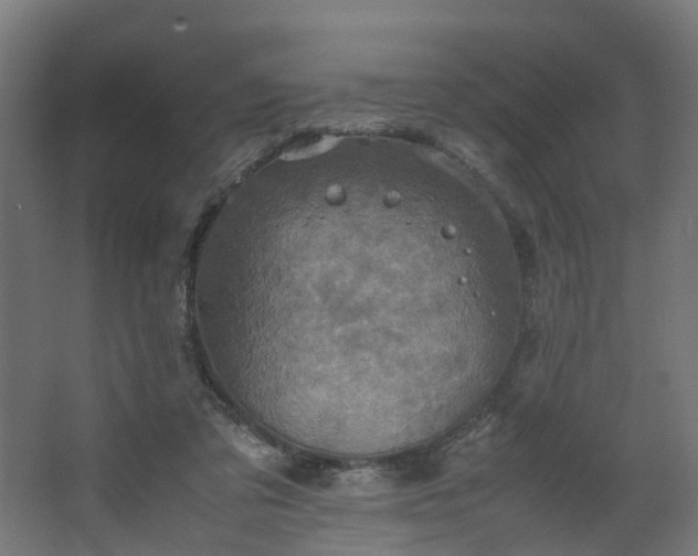 X0000067850309200604201314