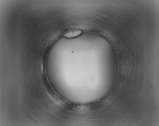 X0000067850310200604201314