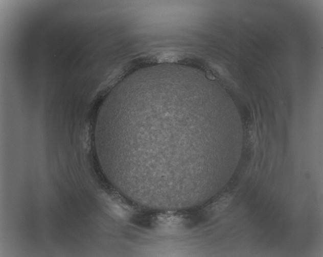 X0000067850311200604201314