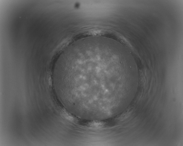 X0000067850313200604201314