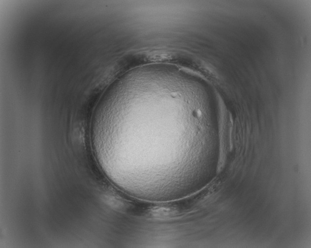 X0000067850315200604201314