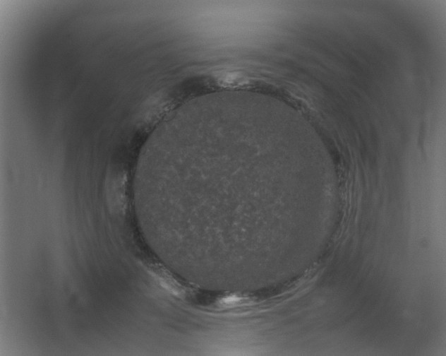 X0000067850319200604201314