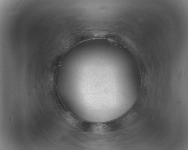 X0000067850321200604201314