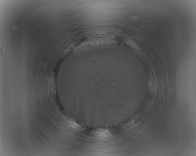 X0000067850322200604201314