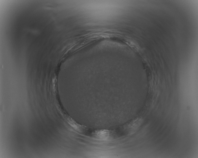 X0000067850325200604201314