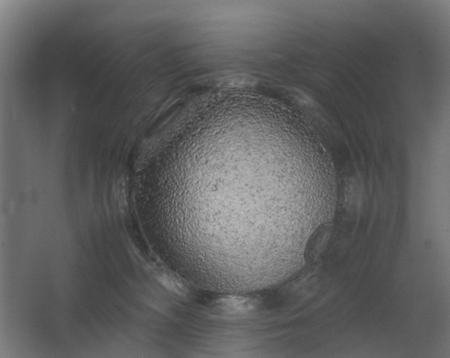 X0000067850326200604201314