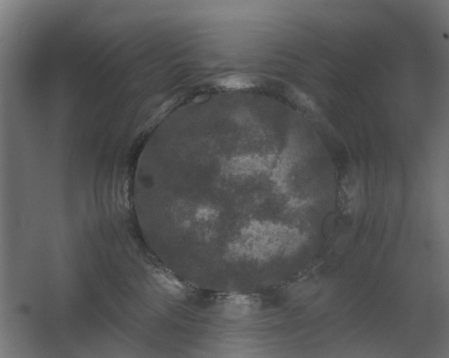 X0000067850330200604201314