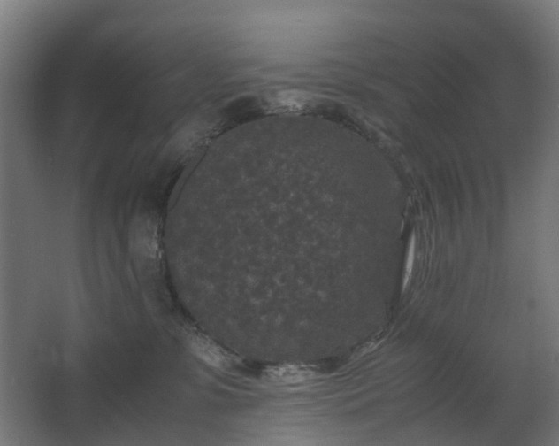 X0000067850331200604201314