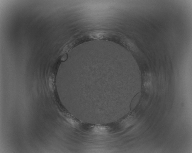 X0000067850332200604201314