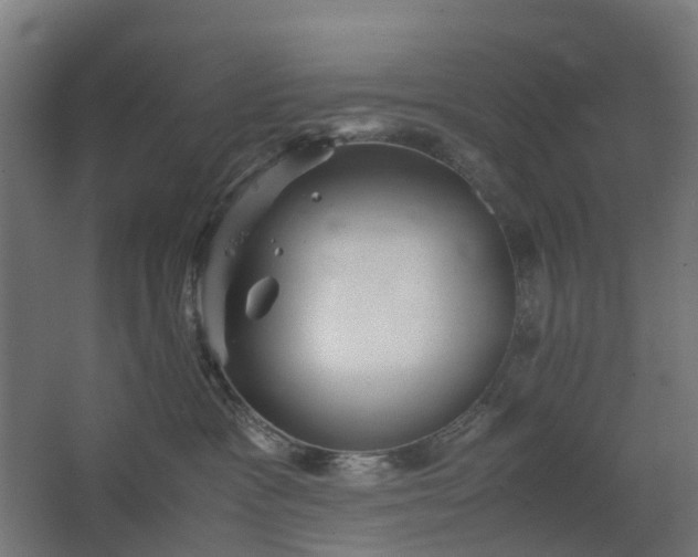 X0000067850333200604201314