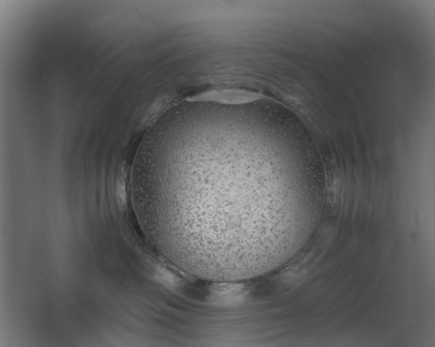 X0000067850334200604201314