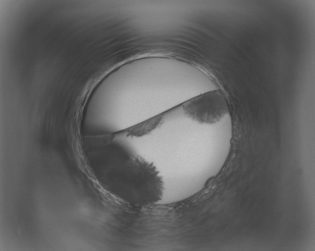 X0000067850337200604201313